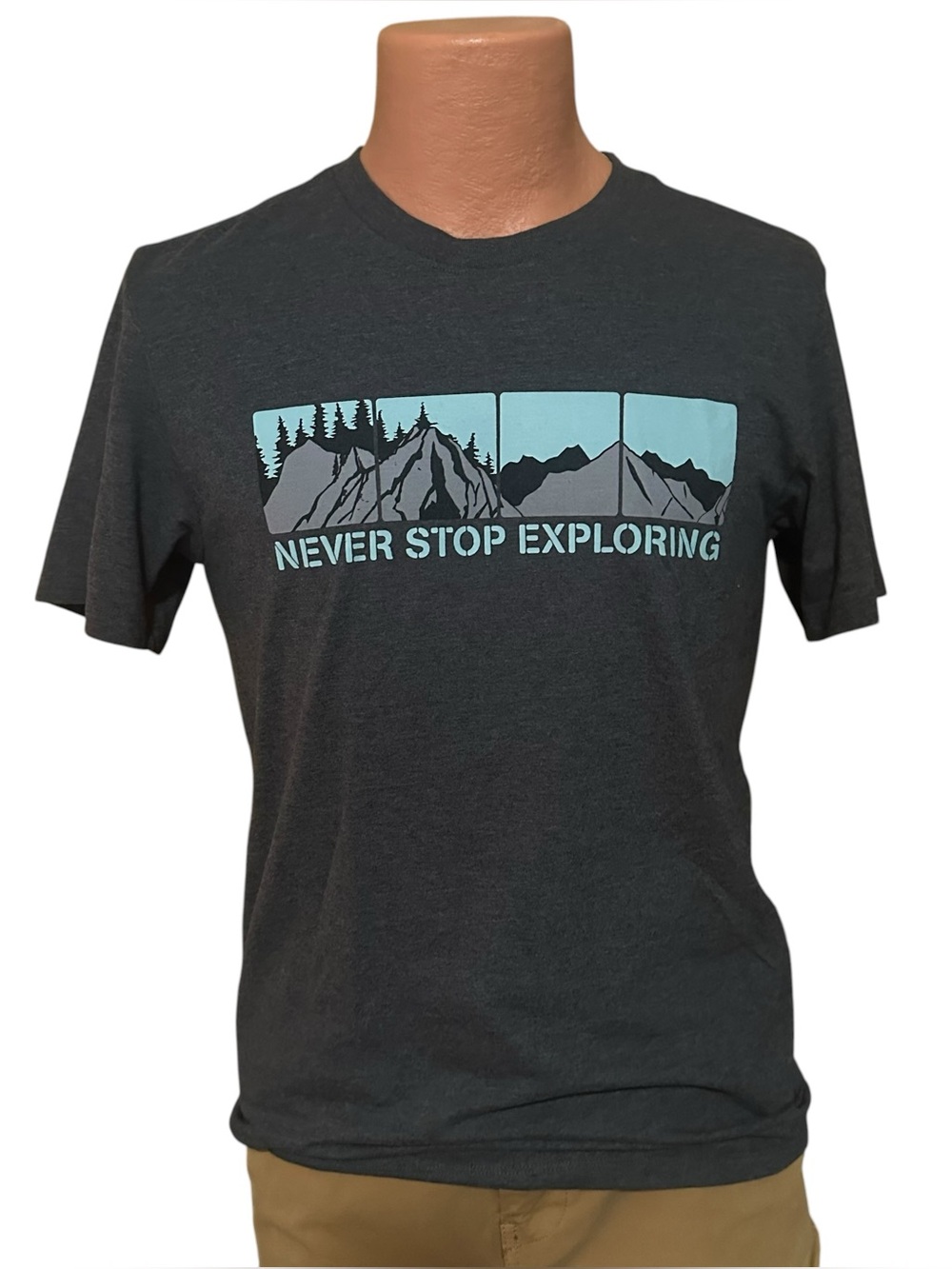 The North Face Shirt Men's Small Gray Short Sleeve Pullover Crew Graphic Print